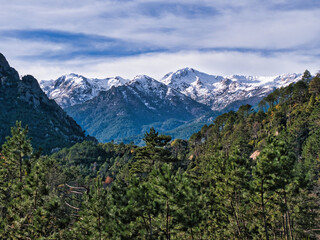 Obraz premium Montagne innevate in corsica