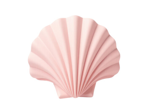 Single pink scallop shell on a white background
