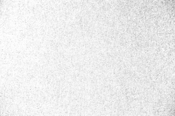 Fine diagonal halftone gradient texture with delicate dotted shading on a transparent background, forming a smooth abstract tone pattern.