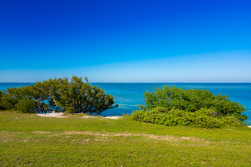 Nature scene by the water in the Florida Keys