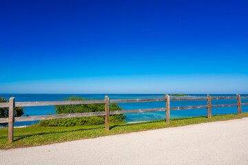 Nature scene by the water in the Florida Keys