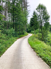 Obraz premium carretera curva estrecha rural de montaña entre el bosque país vasco legazpi IMG_1811-as25