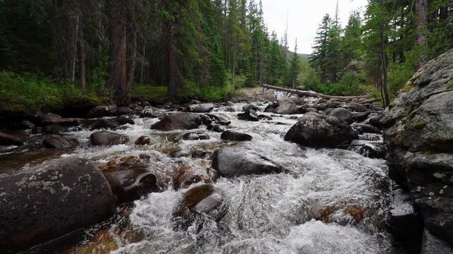Broad forest waterfall spreading across rocks in a shaded glen nearby forest 