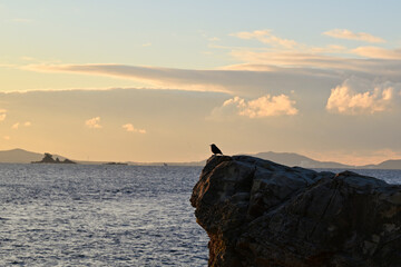羽豆岬から見る日の出の風景