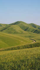 green field and blue sky
