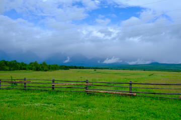 Beautiful countryside landscape view of fresh yellow meadow