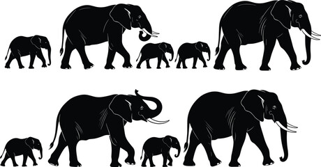  Collection of black silhouettes featuring African elephant families with adults and calves walking in a line isolated on white background, © Fazlul