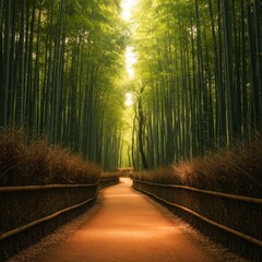 Fototapeta premium Sunlit Path Through Lush Green Bamboo Forest