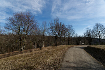 Baden-Württemberg - Forstliches Arboretum Liliental © Uwalthie Pic Project