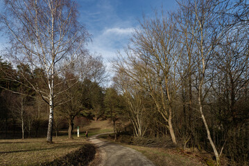 Baden-Württemberg - Forstliches Arboretum Liliental © Uwalthie Pic Project