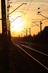 tory © make.some_picture