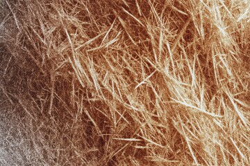 Fototapeta premium Close-up view of textured fibers in varying shades of brown and white, highlighting a mix of natural elements.