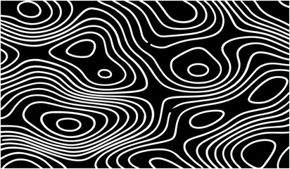 Fototapeta premium Black and White Topographic Map with Elevation Contour Lines. High-Detail Vector Illustration for Cartography and Design Use.