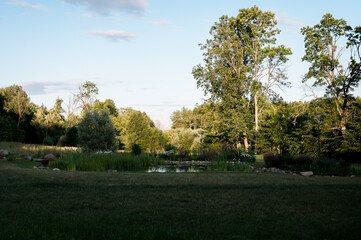 Obraz premium Serene forest landscape with lush meadow and reflective pond at golden hour, showcasing vibrant greenery, calm water, and peaceful countryside nature.