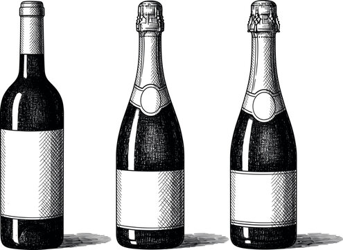Vintage Engraving Wine Bottle Collection Vector: Black and White Sketch Featuring Still Wine and Two Sparkling Champagne Bottles with Blank Labels for Custom Branding and Celebration