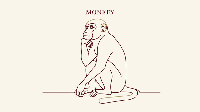 monkey sitting in thoughtful pose