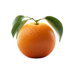 orange with leaves