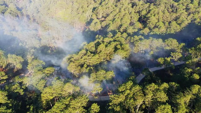 Aerial view of smoke rising from a forest fire among pine trees near a winding road in the Bontoc and Sagada region of the Philippines. Lush green forest landscape affected by wildfire.