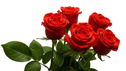 Naklejka premium A vibrant bouquet of red roses with lush green leaves against a black background showcasing their delicate petals and natural beauty
