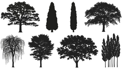 A collection of diverse tree silhouettes, showcasing various shapes and sizes, including deciduous and coniferous varieties. © Adi