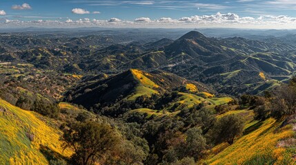Rolling hillsides covered in vibrant yellow wildflowers stretch toward distant peaks under a partly cloudy sky.