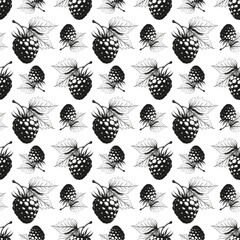 Vintage seamless pattern with graphic hand drawn style raspberry. Realistic sketches, black outline on a transparent background