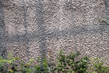 Gray plastering rough wall with shadow and green plant growing on ground background