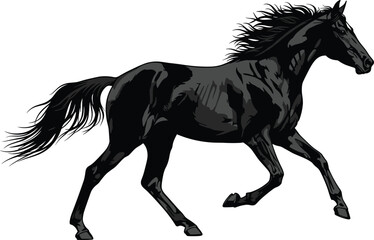 Powerful black horse running vector illustration, majestic stallion galloping with flowing mane and tail isolated on white background for equestrian sports  © MdAnisur