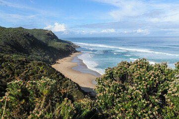 Exterior landscape scene of Australia's south coast, near the famous twelfe apostles, along the great ocean road.