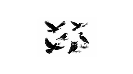 flying birds vector illustration