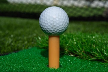 One golf ball close up on tee with green grass