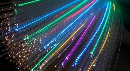 Vibrant strands of light illuminate a network of glowing fiber optics, symbolizing connectivity and technology.