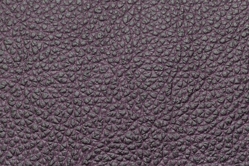 Fototapeta premium Elegant Purple Leather Background