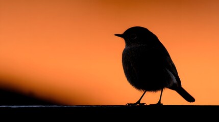 Fototapeta premium Silhouette of a Small Bird Perched Against a Vibrant Orange Sunset Sky.