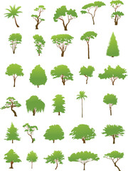 Fototapeta premium Design Tnt Trees Set Illustration