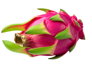 Vibrant pink exotic fruit with green scales, isolated