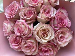 Bouquet of delicate pink roses photographed from above.