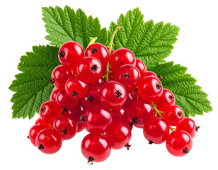 Vibrant red berries clustered on a stem with green leaves