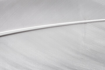 Abstract textured surface with fine lines