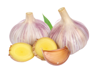 Fresh Garlic and Ginger Root Ingredients for Cooking.