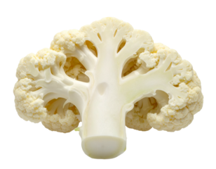 Close-up of a Fresh Cauliflower Florets and Stem Isolated on White Background.