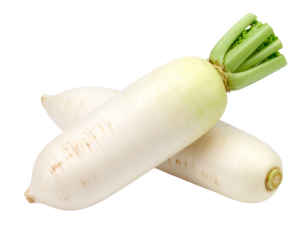 Fresh Daikon Radishes Isolated on White Background.