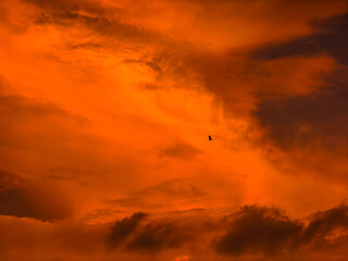 Obraz premium sunset in the sky