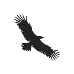 Obraz premium Soaring Eagle Silhouette in Flight Black Vector