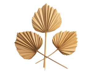 Dried Palm Leaf Fan Cake Toppers for Tropical Party Decor.