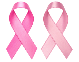 Two satin pink ribbons, symbolizing awareness and support