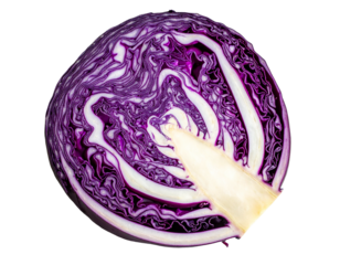 A vibrant cross-section of a fresh red cabbage revealing its intricate layers and textures.