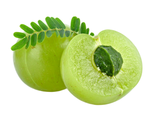 Fresh Amla Fruit Halved and Whole on White Background.