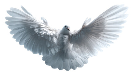 Obraz premium Majestic white dove captured in graceful flight with expansive wings spread wide, symbolizing peace and freedom for inspirational projects and spiritual themes.