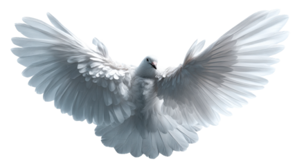 Majestic white dove captured in graceful flight with expansive wings spread wide, symbolizing peace and freedom for inspirational projects and spiritual themes.